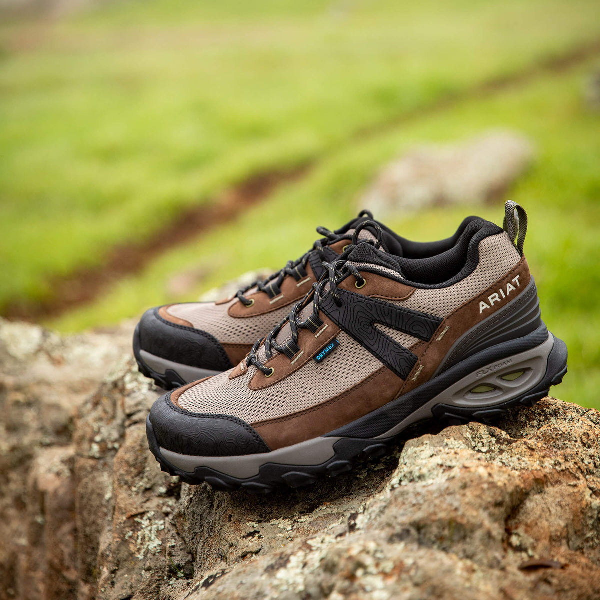 Traverse Low Waterproof Hiking Shoe - Ariat Signature