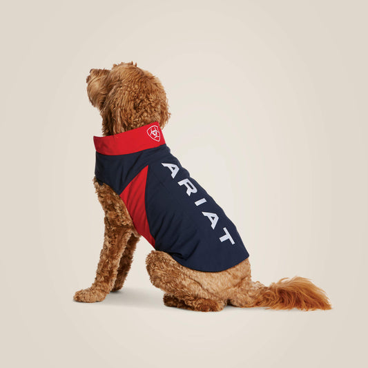 Team Softshell Dog Jacket - Ariat Customer Favorite