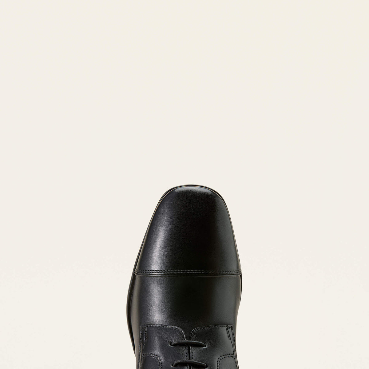Palisade Field Tall Riding Boot - Ariat Quality