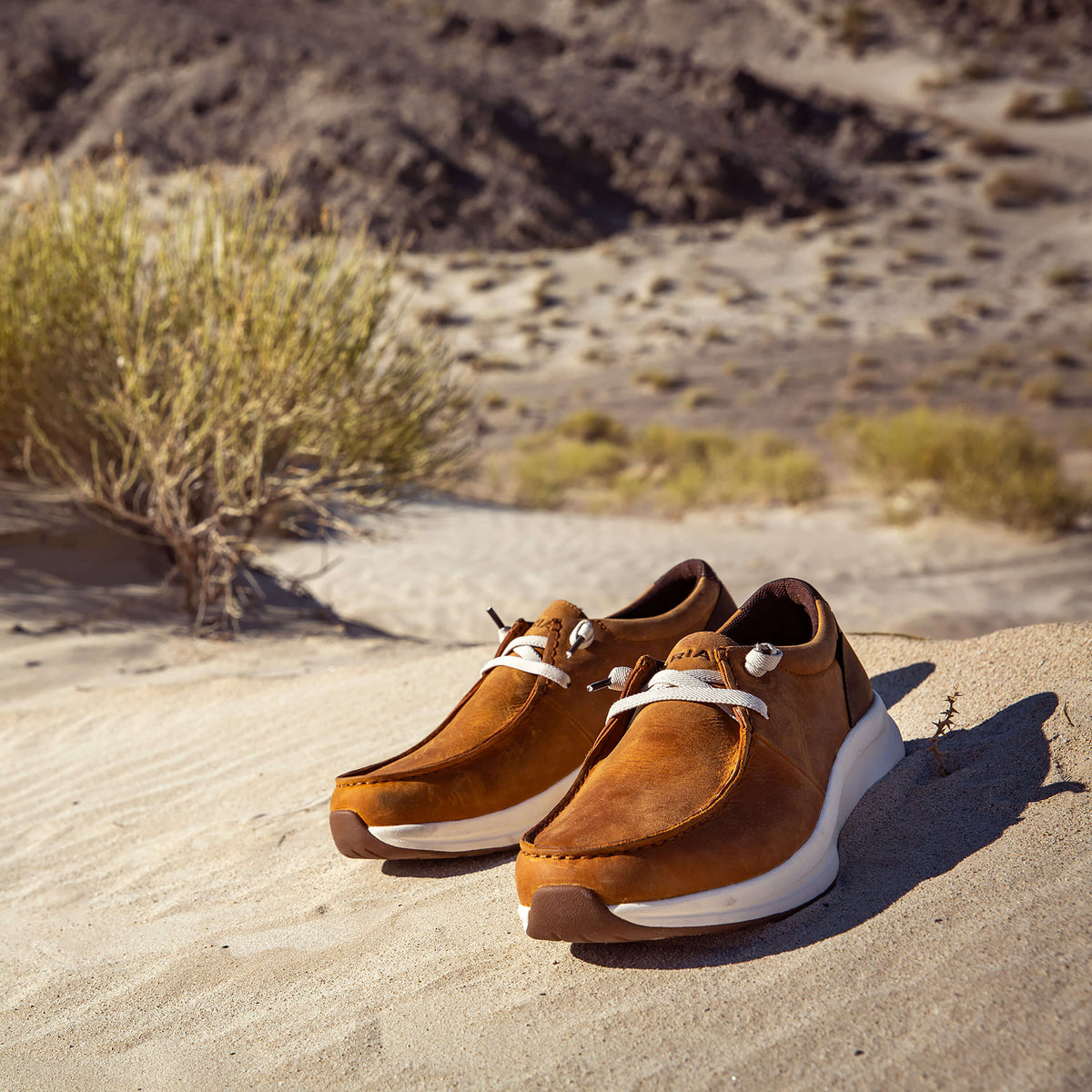 Buckeye Waterproof Shoe - Ariat Special Offer