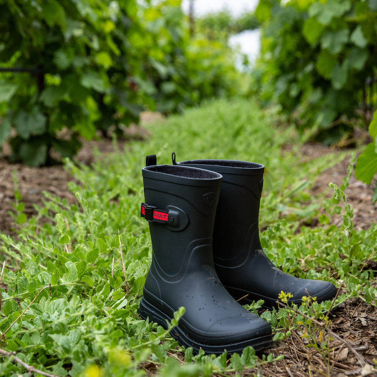 Kelmarsh Mid Rubber Boot - Ariat Popular