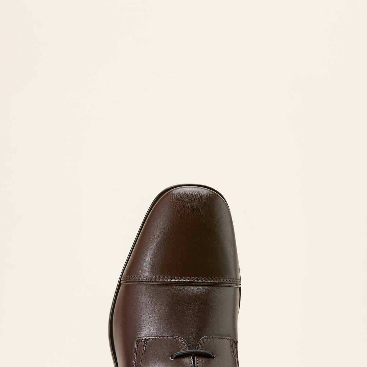 Palisade Field Tall Riding Boot - Ariat Top Pick