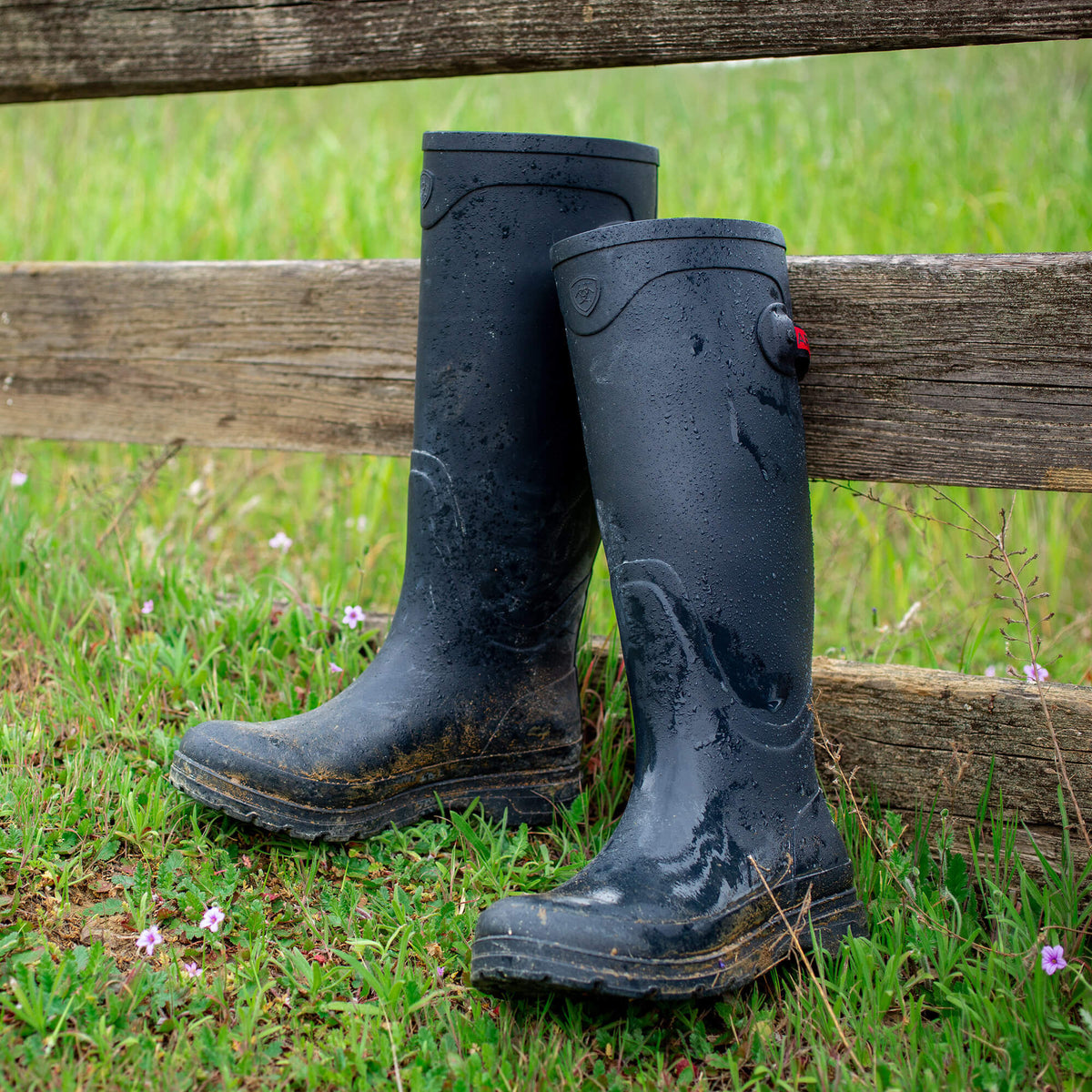 Kelmarsh Rubber Boot - Ariat Recommended