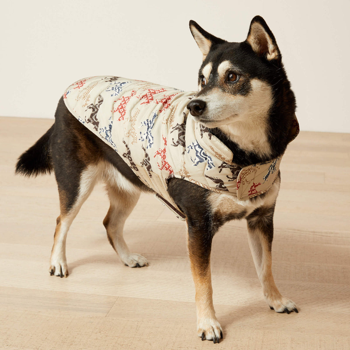 Pup Puffer Jacket - Ariat New