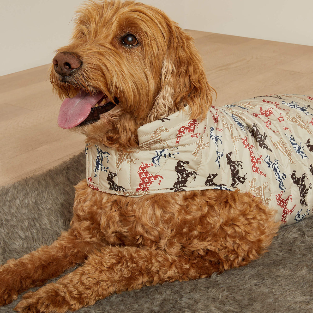 Pup Puffer Jacket - Ariat New