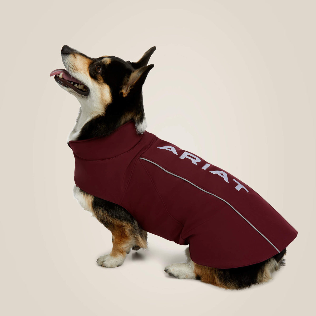 Team Softshell Dog Jacket - Ariat Trending