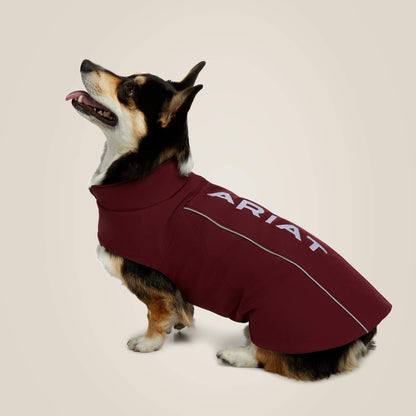 Team Softshell Dog Jacket - Ariat Trending