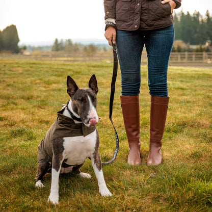 Dog Leash - Ariat Quality