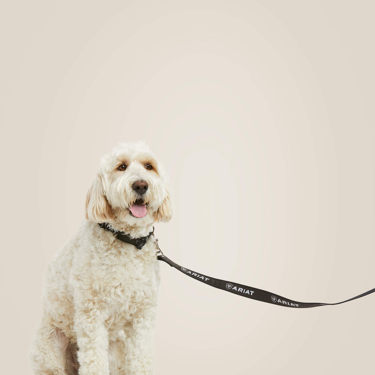 Dog Leash - Ariat Quality