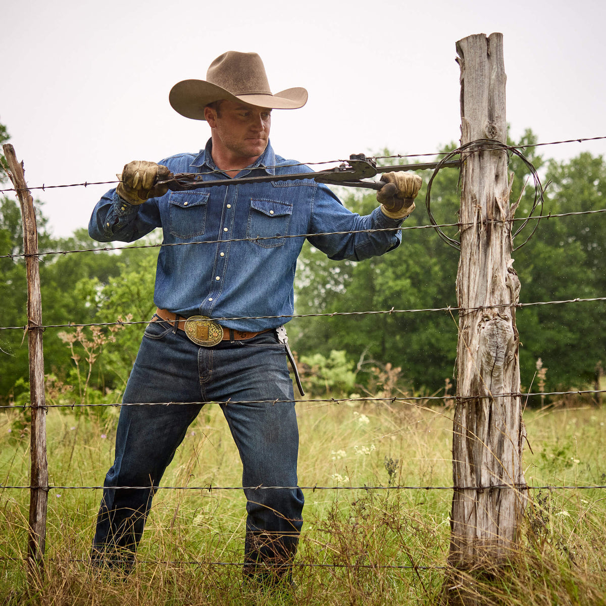 Classic Denim Shirt - Ariat Top Pick