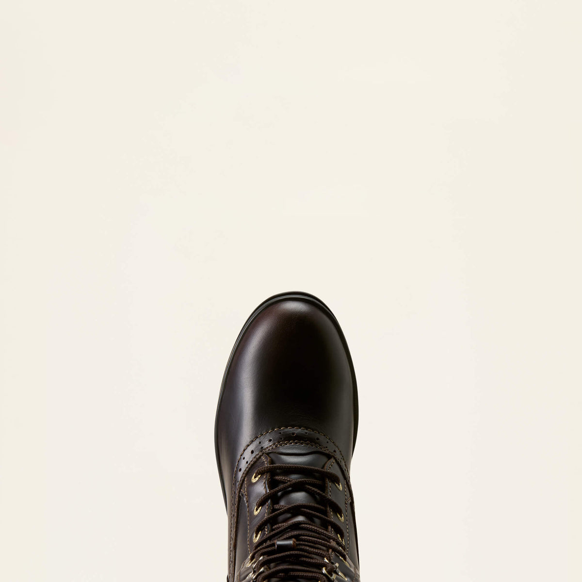 Wythburn II Sherpa Waterproof Boot - Ariat Customer Favorite