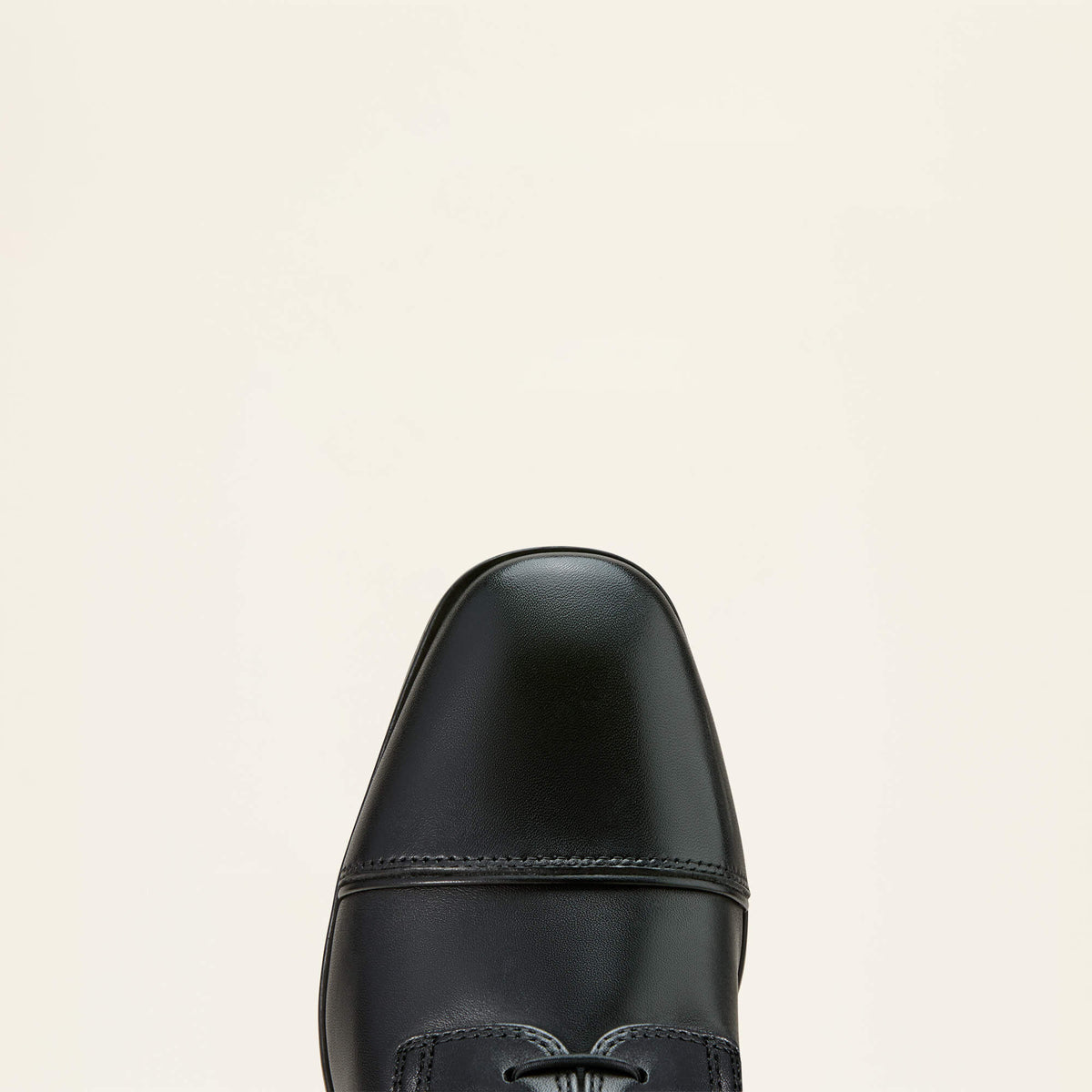 Palisade Lace Tall Riding Boot - Ariat Popular