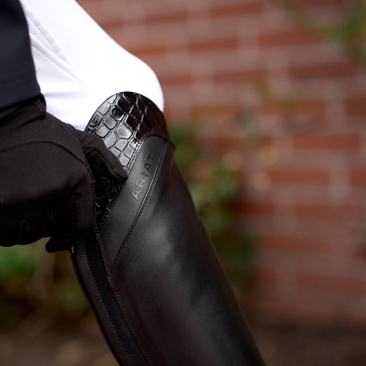 Palisade Show Tall Riding Boot - Ariat Classic