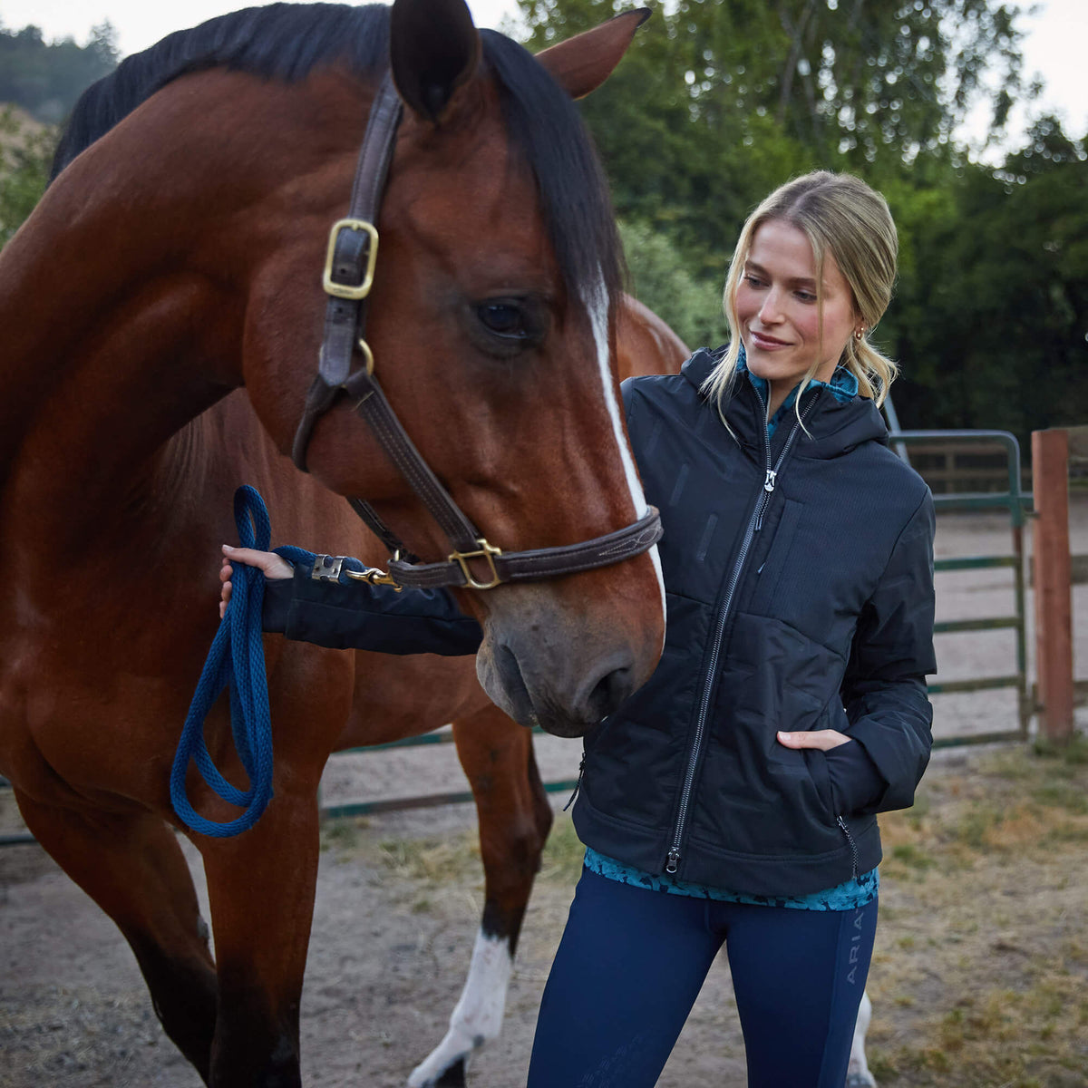 Taxore Insulated Jacket - Ariat Value