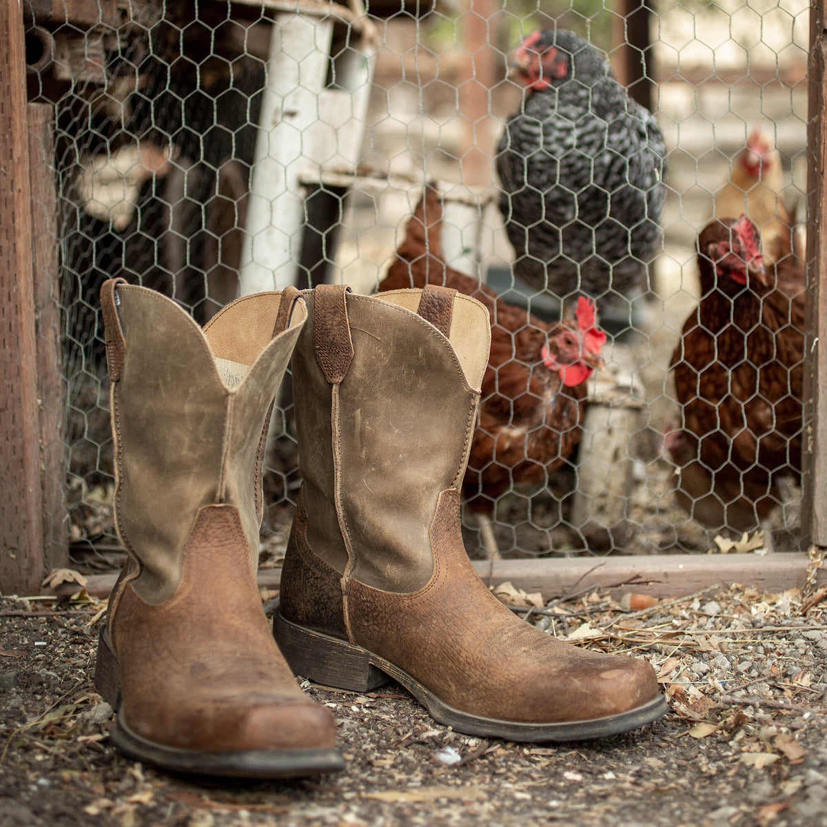 Rambler Western Boot - Ariat Hot Sale